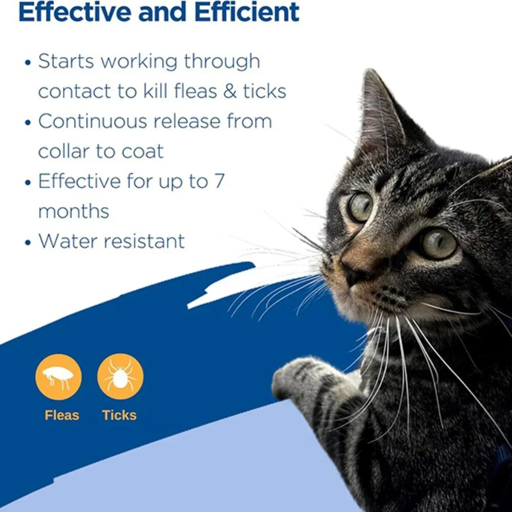 New Breakaway Flea and Tick Collar for Cats 13 Inch Safe and Effective